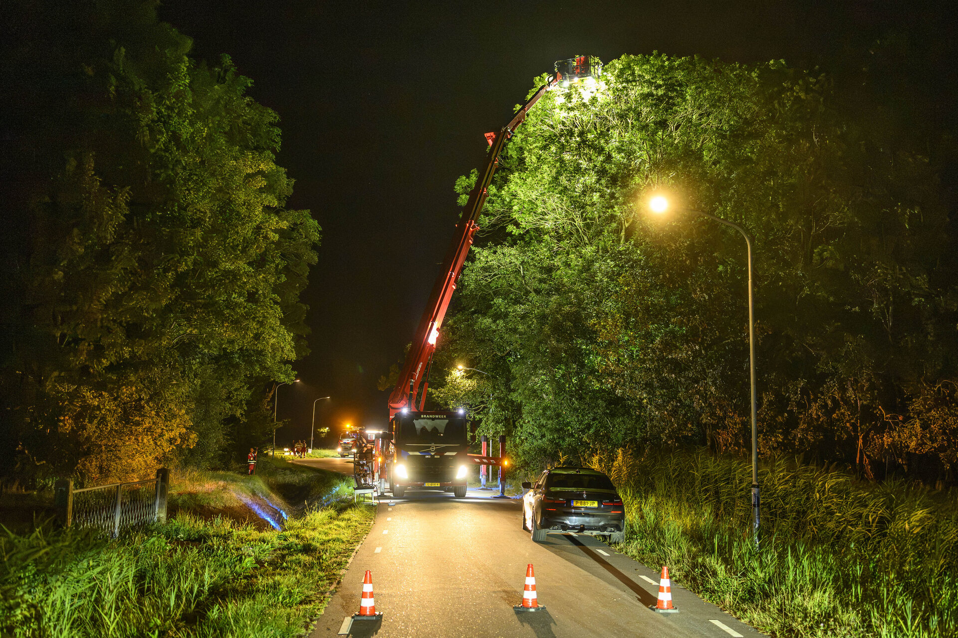 Brandweer doet meerdere pogingen om papegaai uit boom te krijgen