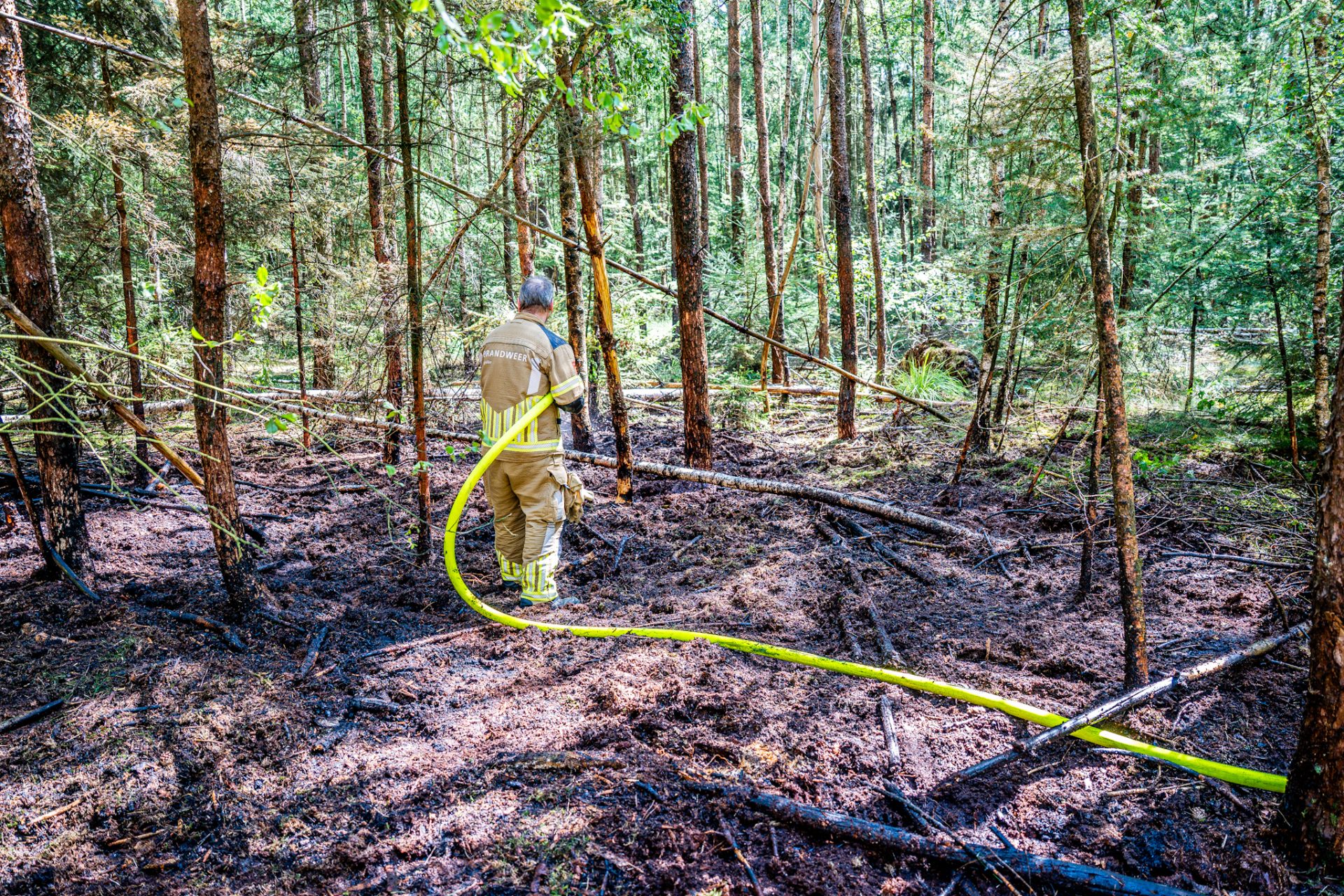 Brandweer blust bosbrand in natuurgebied