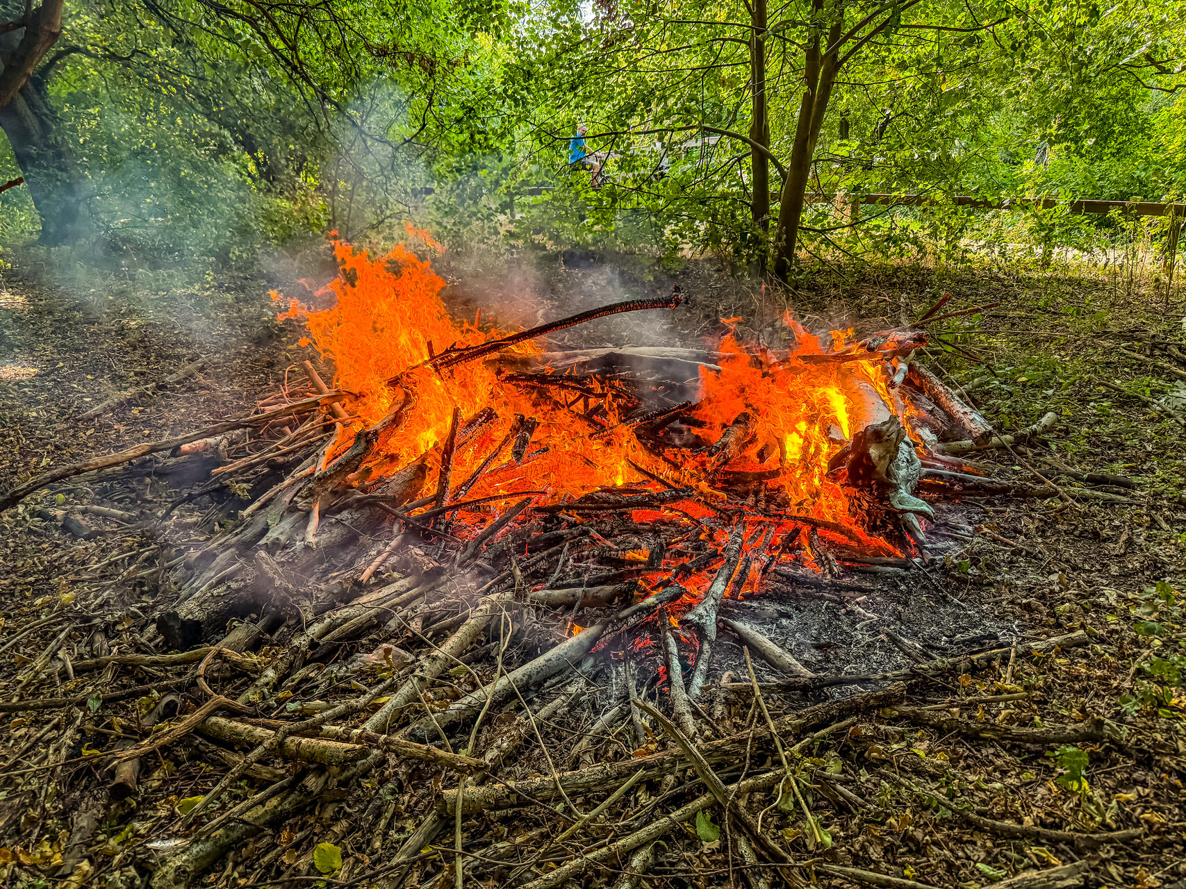 Omstanders blussen bosbrand, politie vermoedt brandstichting