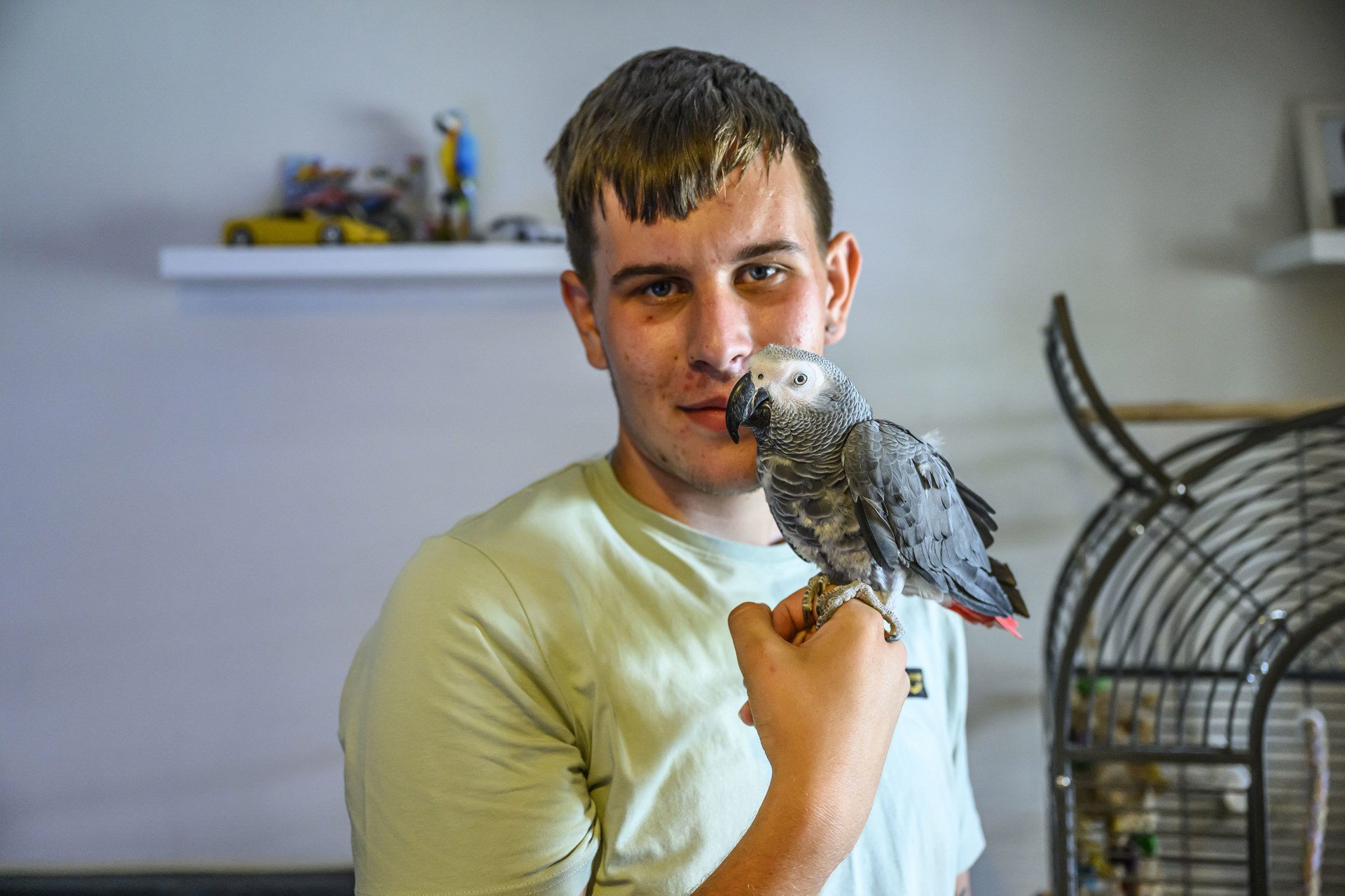 Papegaai Marley na ruim 24 uur zoeken weer terecht