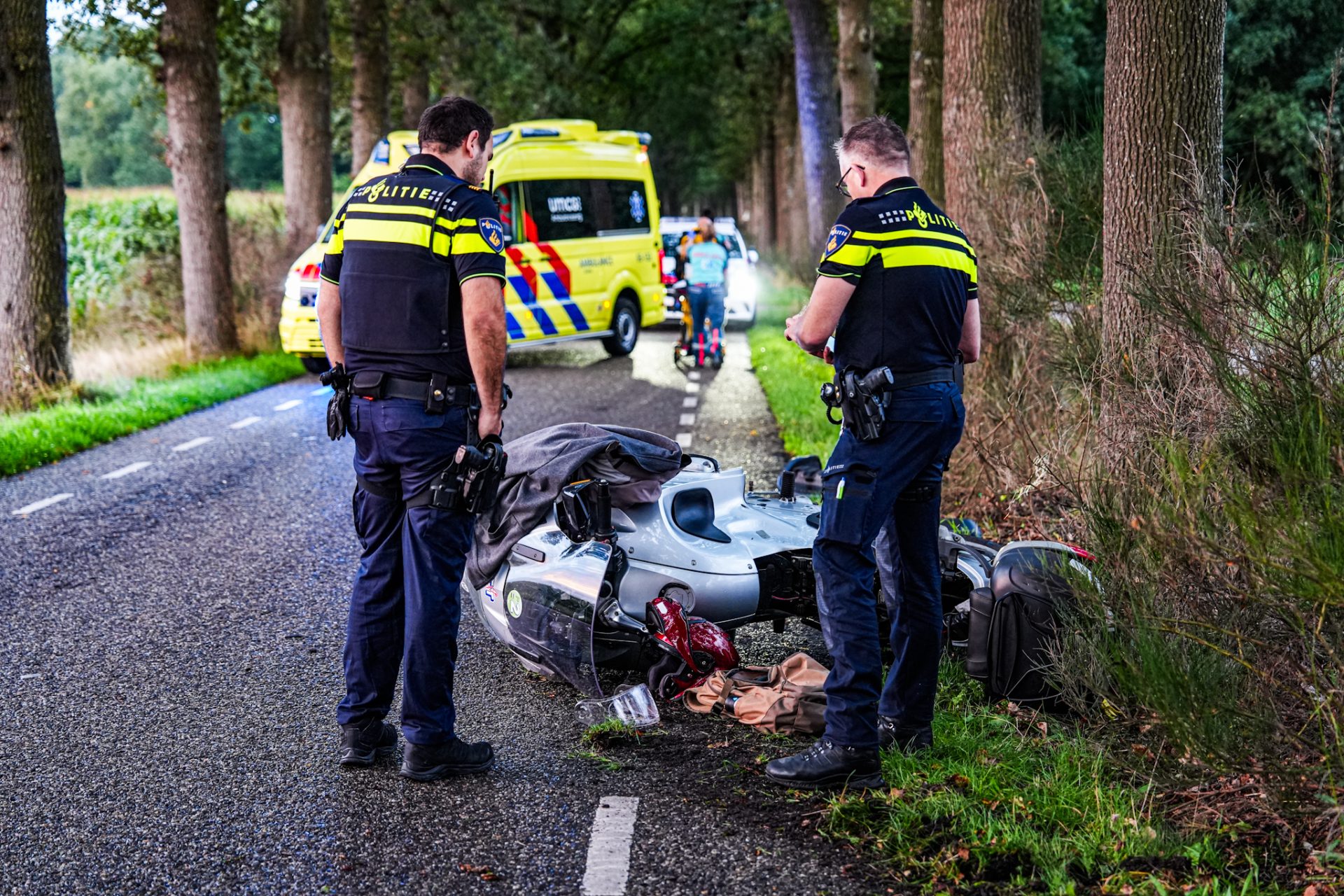Ree overleden na botsing met motorrijder