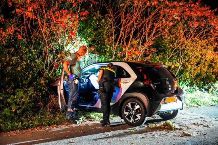 Automobilist raakt van de weg en botst tegen lantaarnpaal