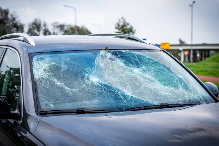 Boom valt op voorruit van auto op A7: Inzittenden ongedeerd