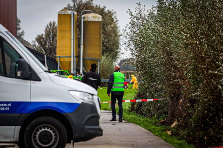 Vogelgriep vastgesteld op pluimveebedrijf, 45.000 kippen worden geruimd